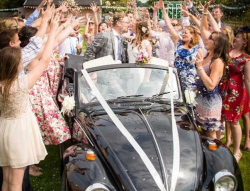 All you need to know about beautiful eco-friendly wedding confetti