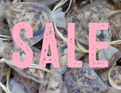 August Confetti Sale now on!