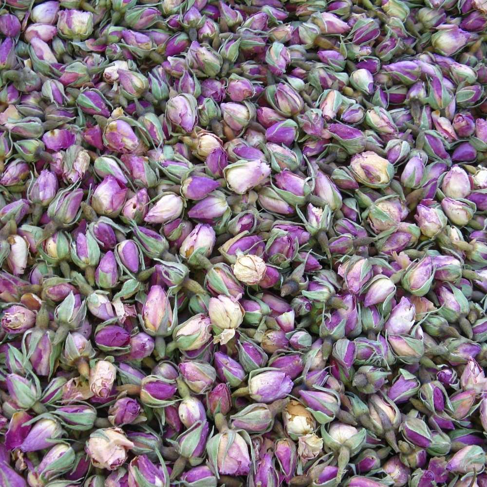 rose buds