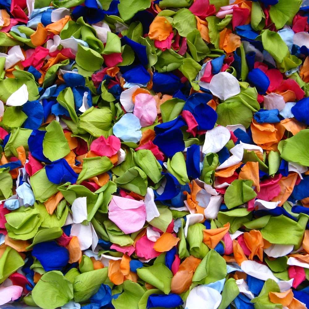 Magic Multicoloured Rose Petal Confetti 100 biodegradable