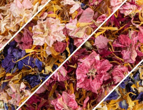 Pre-mixed Confetti Petals: Spotlight on our four lovely Meadow Mixes – seasonally inspired Confetti blends
