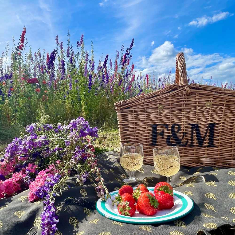 picnic in the confetti fields