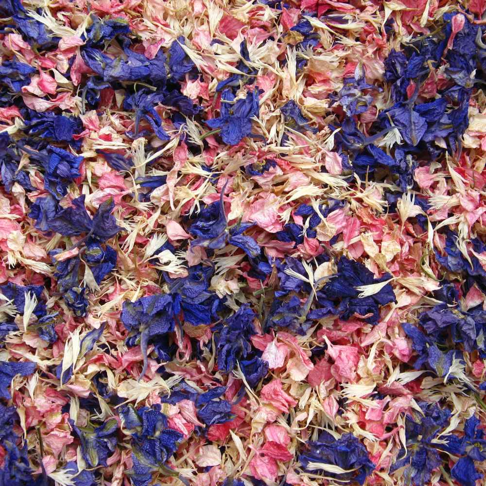 confetti petals