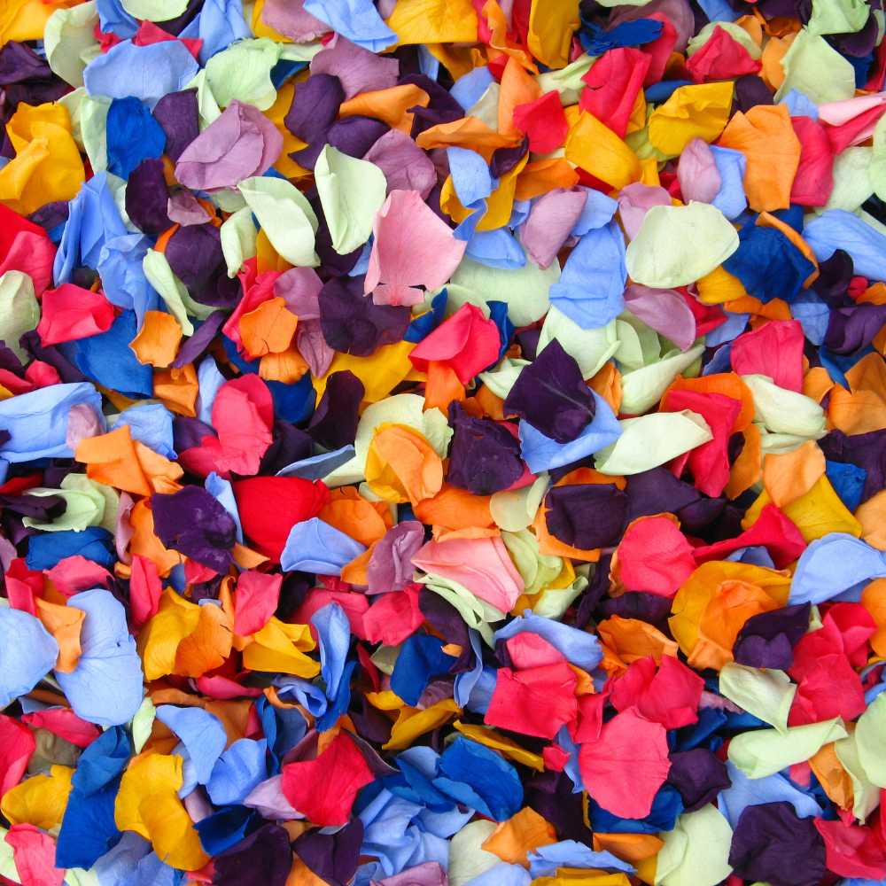 Loose rose petal confetti - Pre-Mixed: Magic Multicoloured Mix of Coloured Rose Petals