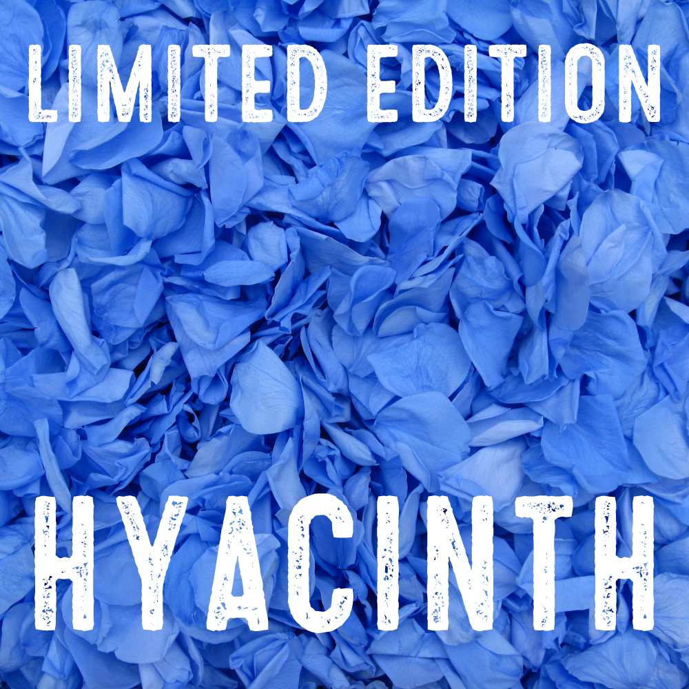 hyacinth petals