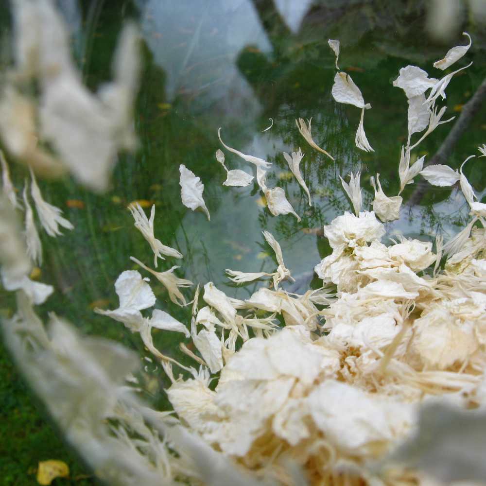 A close-up of the white confetti petals inside a Snow Bauble.