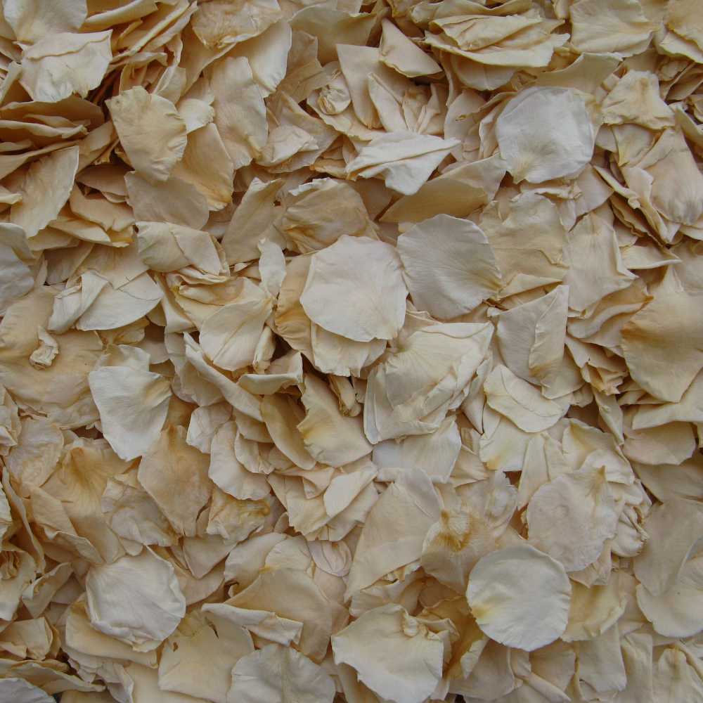 Clotted Cream rose petal confetti