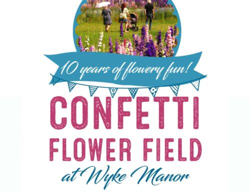 The Confetti Flower Field OPEN DATES 2024