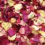 A mass of colourful rose petals