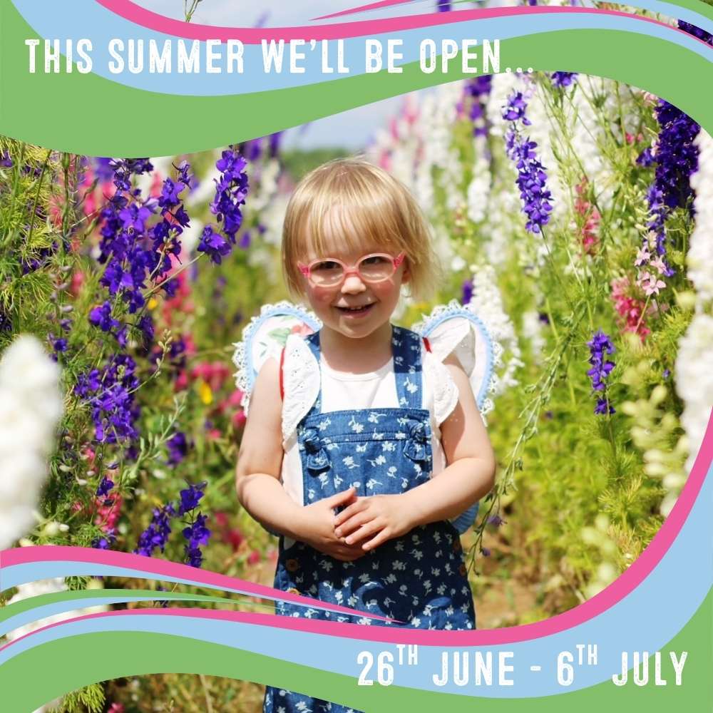 A little girl in the confetti flowers with writing that says - we are open this summer 26th June - 6th July