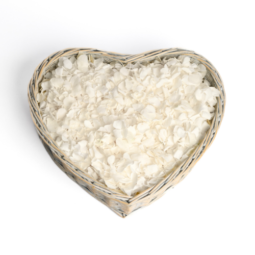 Hydrangea Wedding Confetti