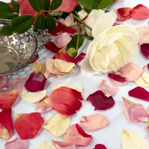 Rose Wedding Confetti